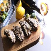 Giant mud flat pacific oysters