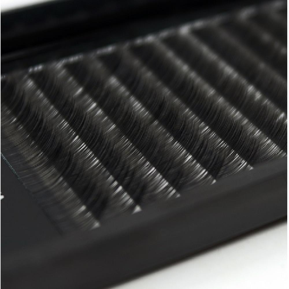 MEEPLUS KOREA Black Berry Flat Lash JC Curl