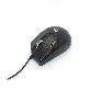 full image Noiseless wire mouse JNL-006K