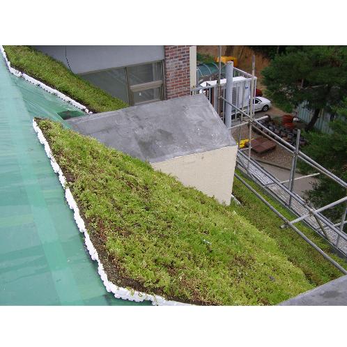 Drainage insulating board | Drainage board, ceiling drainage, Styrofoam drainage board