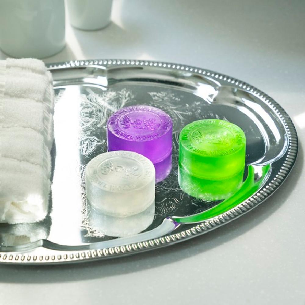 Antibacterial Beauty Soap