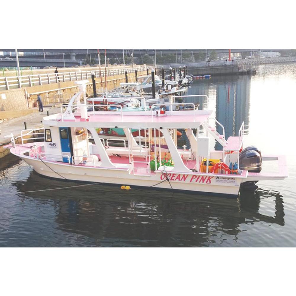 Aluminium Leisure boat  -  3.7 Ton Leisure Boat