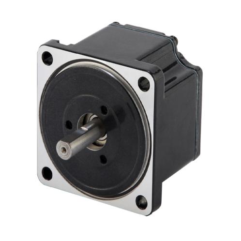 BLDC Motor ( AC/DC )