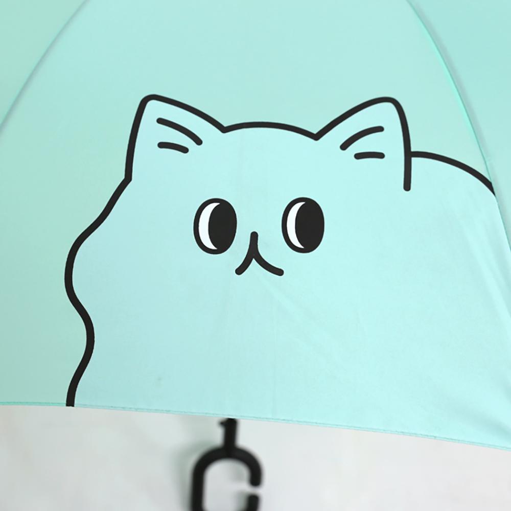 Raon 62nd Umbrella (Laon Mint)