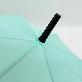 detail image4 Raon 62nd Umbrella (Laon Mint)