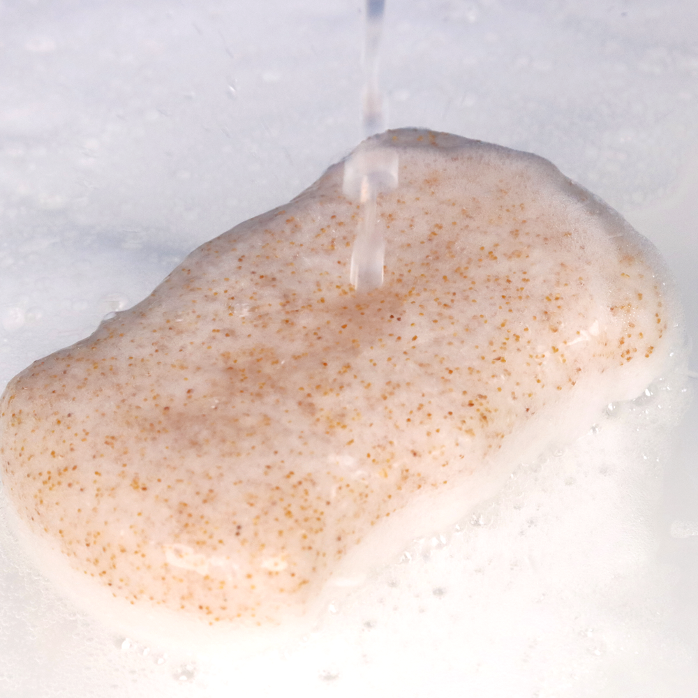 CLEABEAR KONJAC SPONGE
