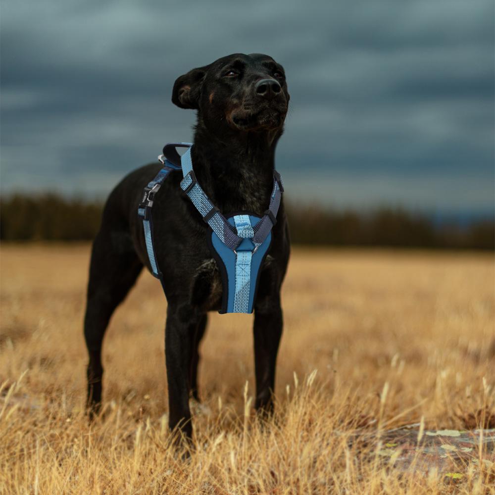 Explorer-Neoman Harness ZLHA009