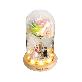full image LED Rainbow Rose Glass Dome Mood Light Anniversary Gift
