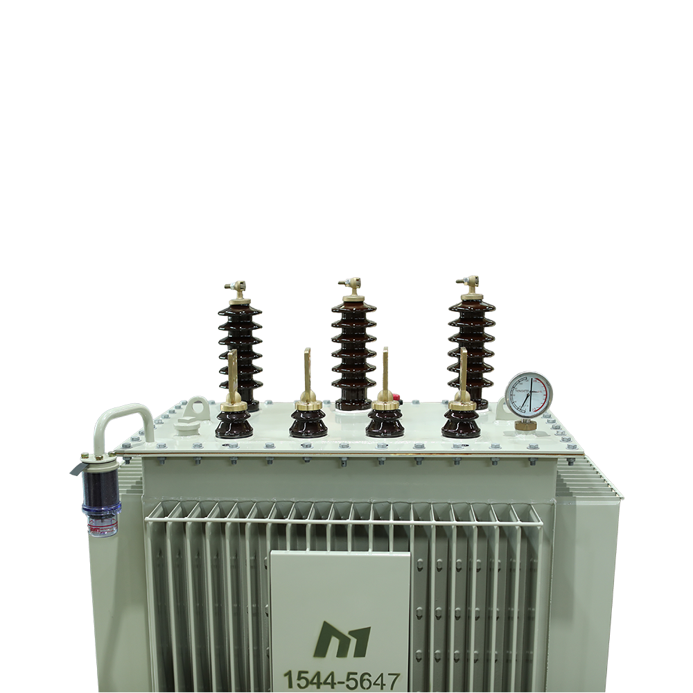 Oil Immersed Transformer