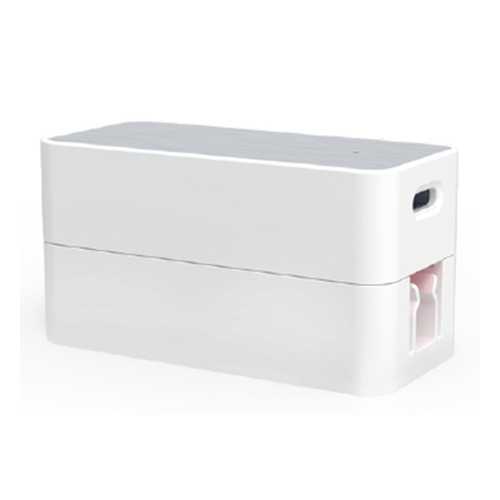 &picks UV LED Portable Toothbrush Sanitizer (White)